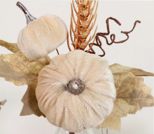 Autumn Wild Velvet Pumpkin
