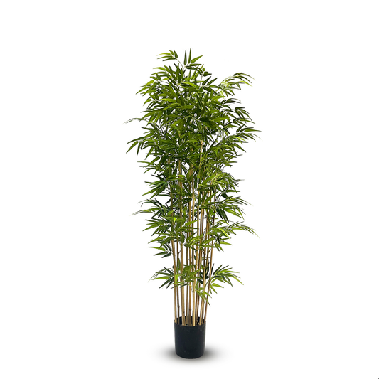 Artificial Silk Bamboo Nitida FR