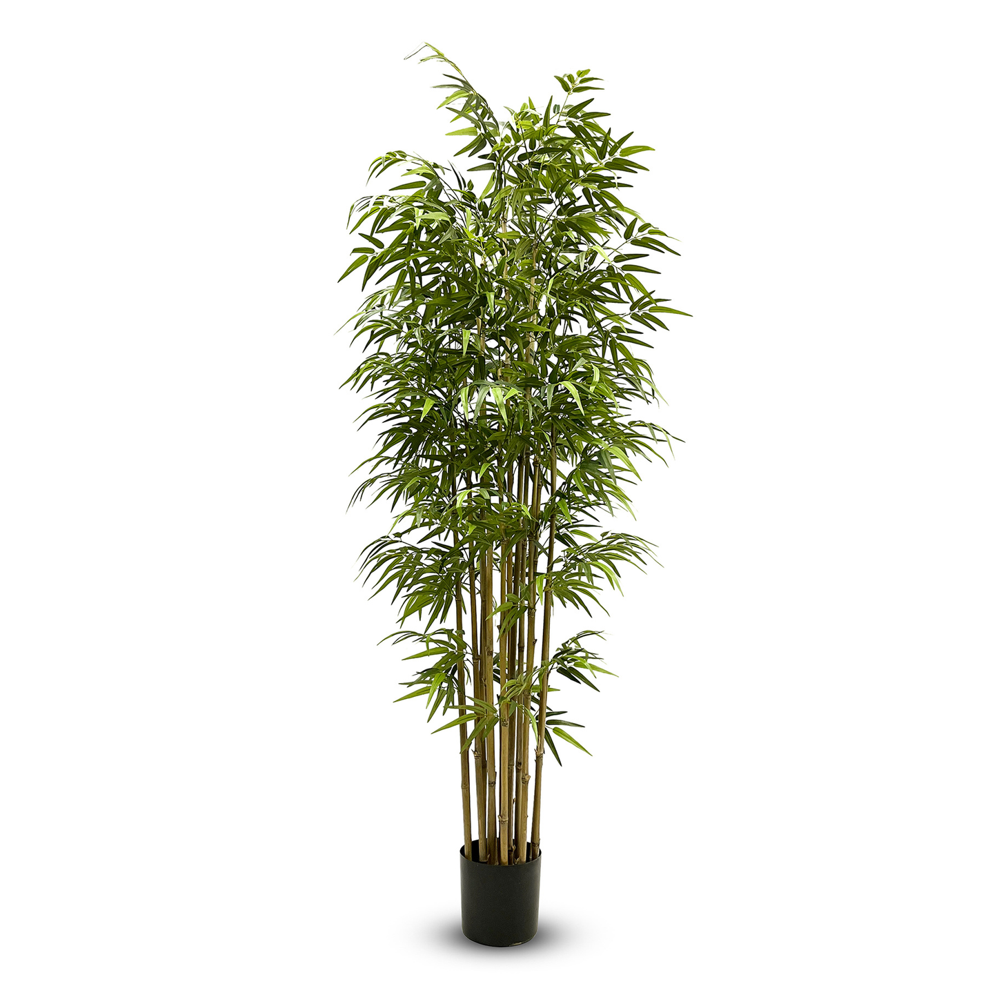 Artificial Silk Bamboo Nitida FR