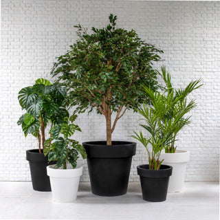 Birch Collection Planters