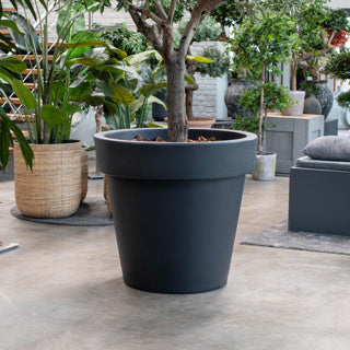 Birch Collection Planters
