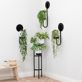 Elder Collection Planters