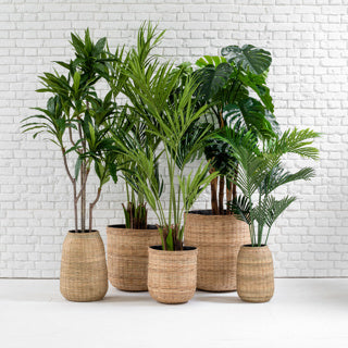 Hazel Collection Planters