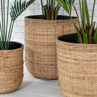 Hazel Collection Planters