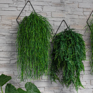 Juniper Collection Planters