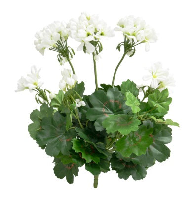 Artificial Trailing Geranium Bush FR