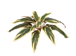 Artificial Silk Peacock Bush UV