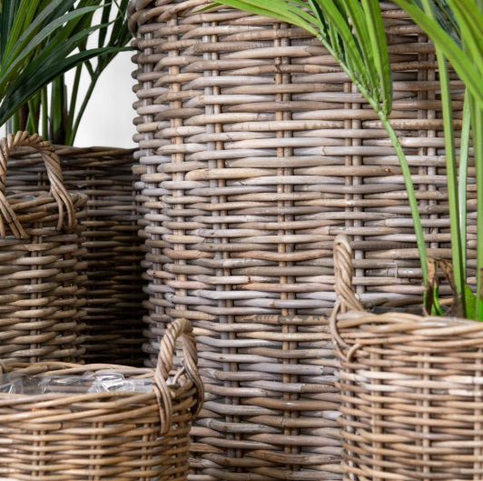 Oxford Collection Planters