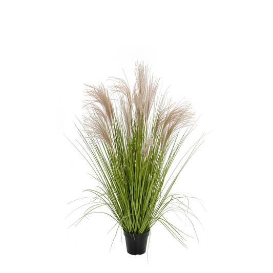 Artificial Pampas Grass in carriage Pot