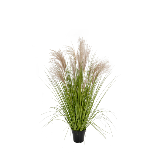 Artificial Pampas Grass in carriage Pot