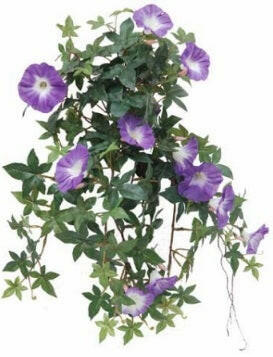 Artificial Silk Trailing Morning Glory