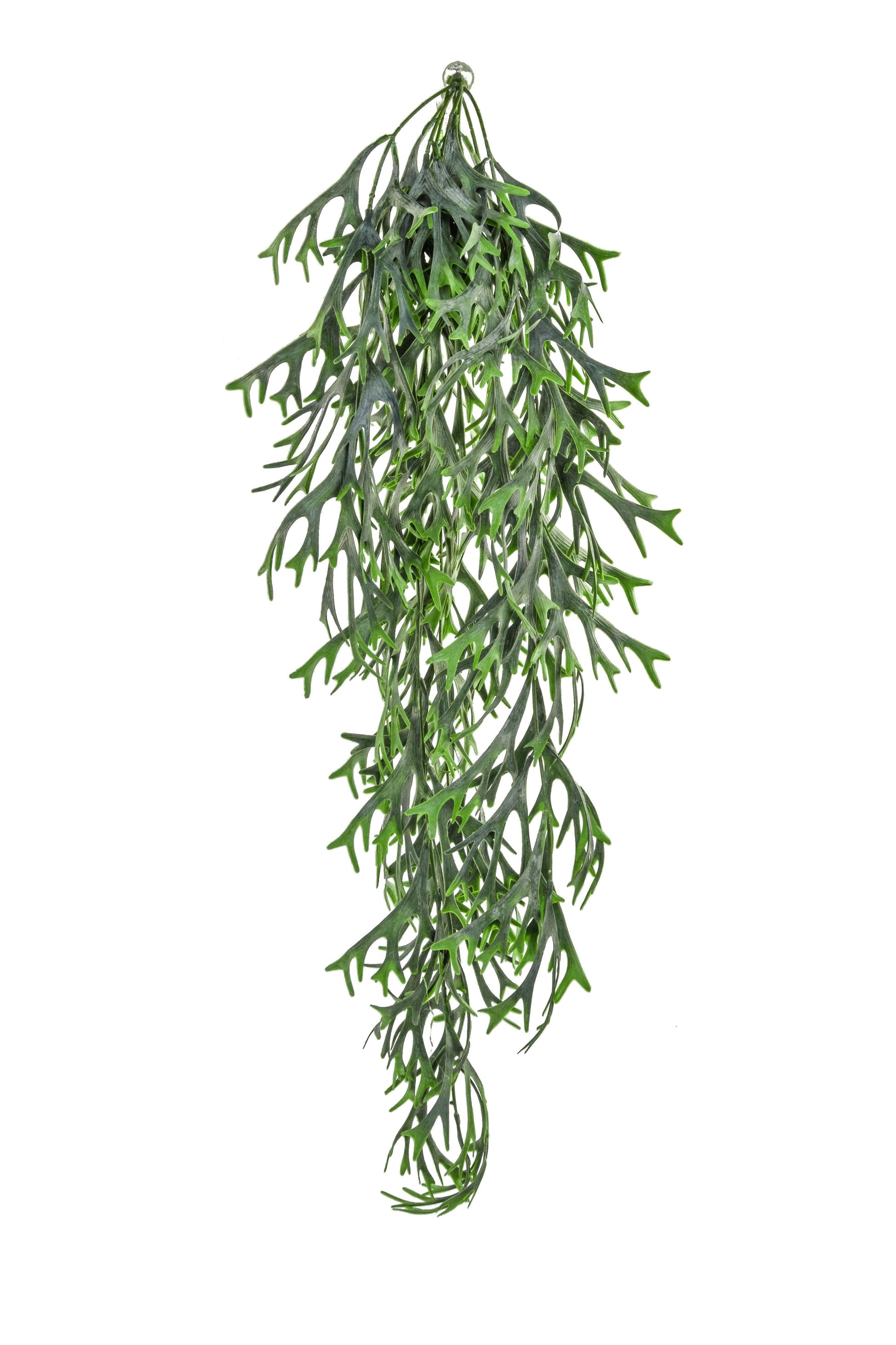 Artificial Staghorn Hanging Trail UV FR