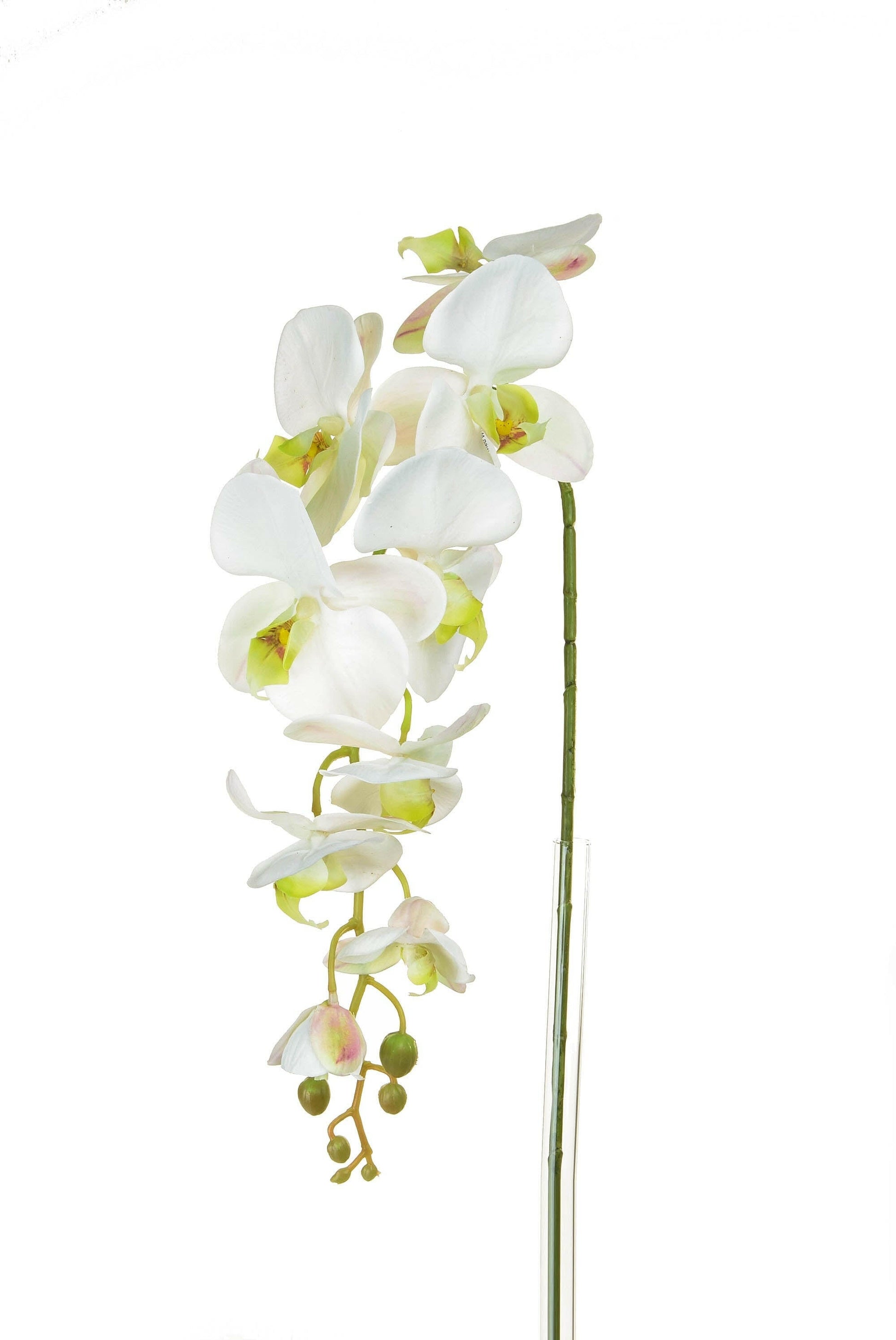 Artificial Silk Phalaenopsis, Medium