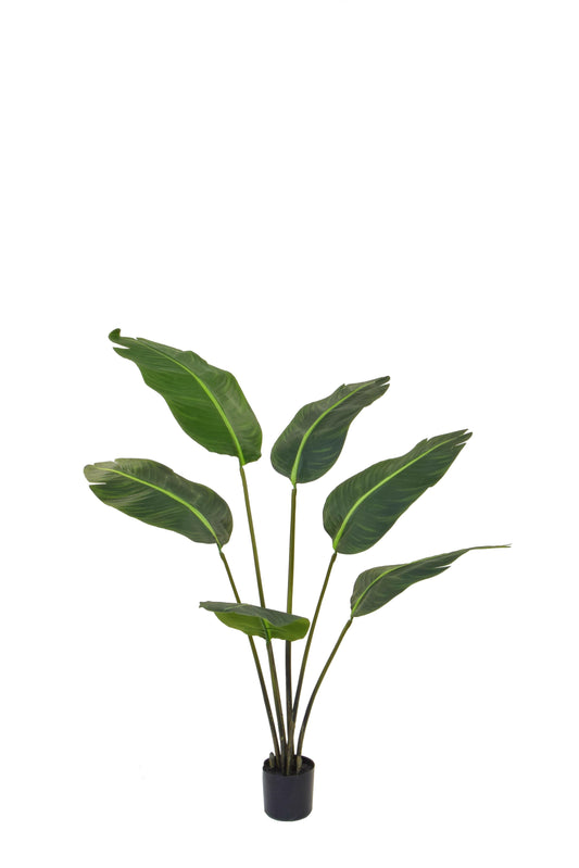 Artificial Silk Bird of Paradise Plant FR