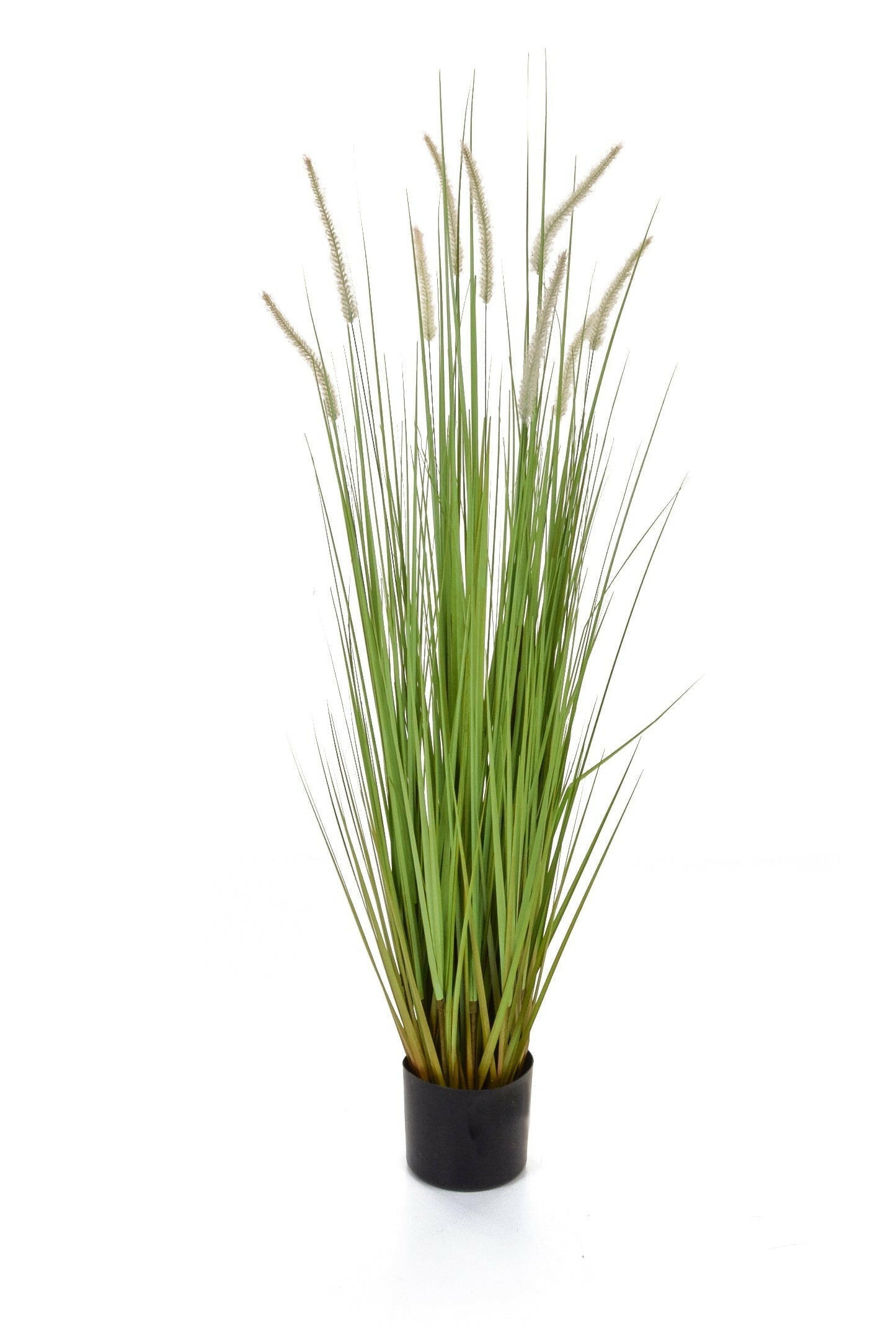 Artificial Dogtail Grass