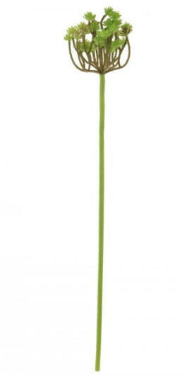 Artificial Clavatum Succulent 