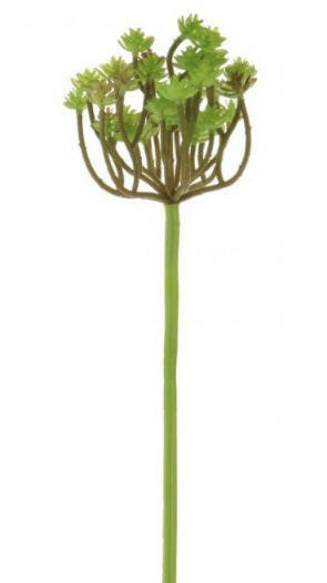 Artificial Clavatum Succulent 