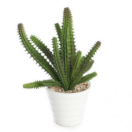Artificial Potted Succulent x3 Pack