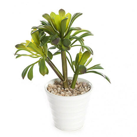 Artificial Potted Succulent x3 Pack