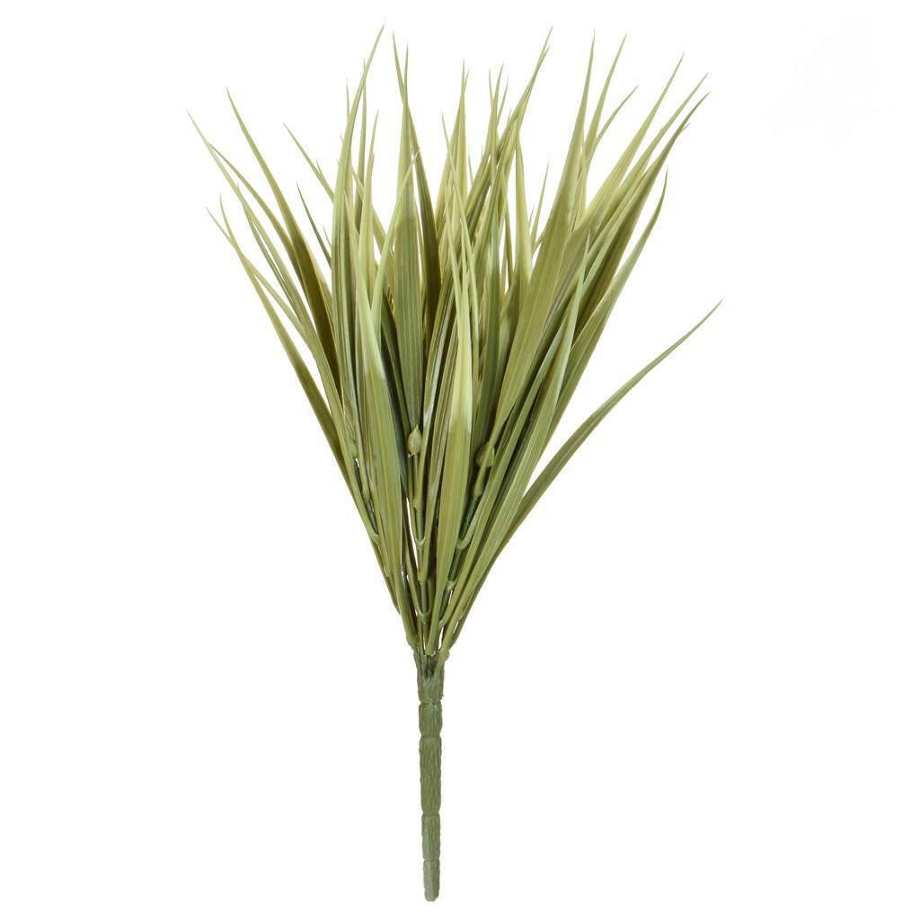 Vanilla Grass FR