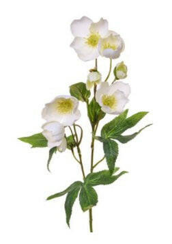 Artificial Silk Helleborus Flower