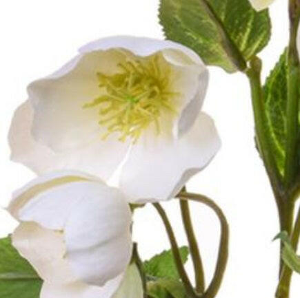 Artificial Silk Helleborus Flower