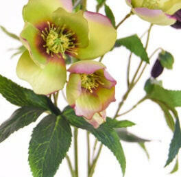 Artificial Silk Helleborus Flower