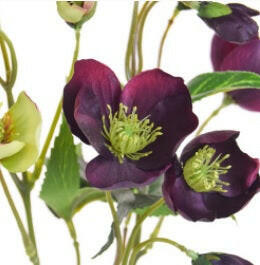 Artificial Silk Helleborus Flower