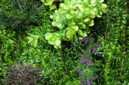 Artificial Flexi Back Green Wall Cheviot 100 x 100cm