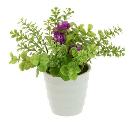 Artificial Potted Daisy/Eucalyptus/Geranium in White Pots x3