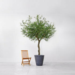 Artificial Bespoke Natural Olive Tree FR