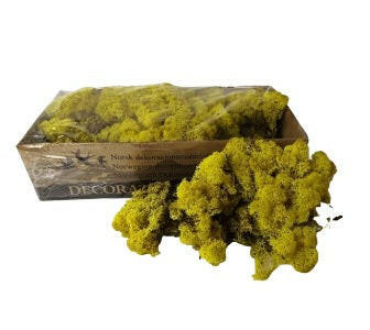 Reindeer Dried Preserved Moss (Icelandic Moss) Box