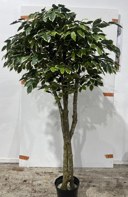 Artificial Silk Ficus Benjamina Tree FR