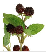 Artificial Blackberry Spray