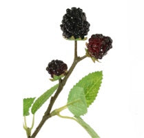 Artificial Blackberry Spray