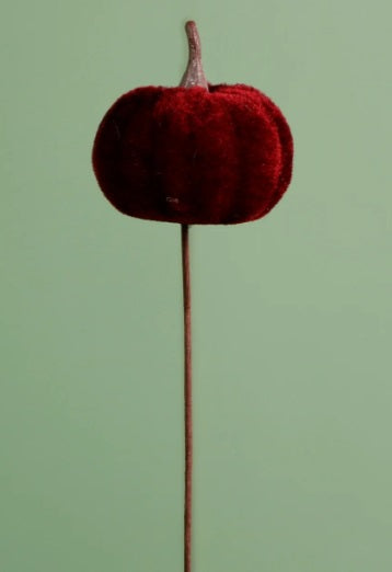 Craft Pic Small Velvet Pumpkin (6 Per Pack)