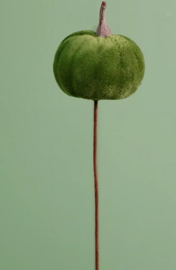 Craft Pic Small Velvet Pumpkin (6 Per Pack)