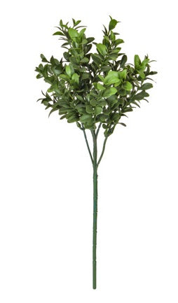 Artificial Foliage Buxus FR UV