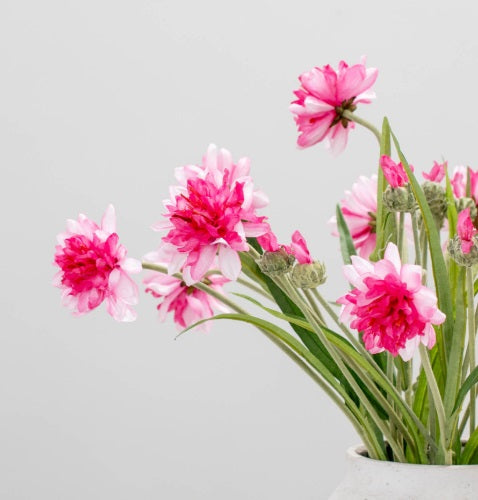 Artificial Silk Corn Flower