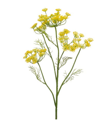 Artificial Silk Dill