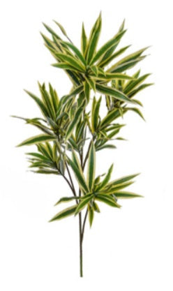 Artificial Silk Dracaena Reflexa Plant FR