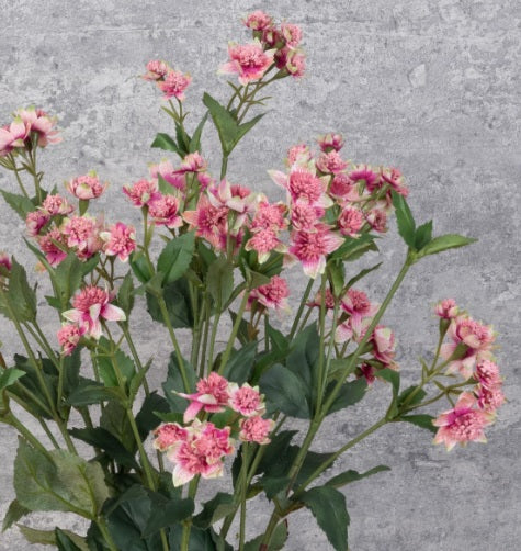 Artificial Silk Eco Astrantia