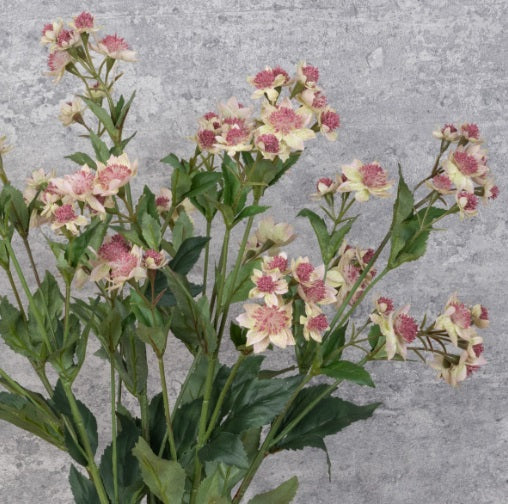 Artificial Silk Eco Astrantia