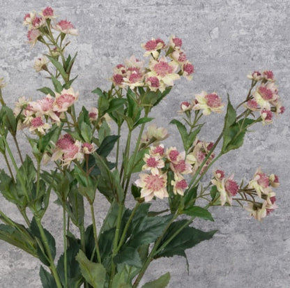 Artificial Silk Eco Astrantia
