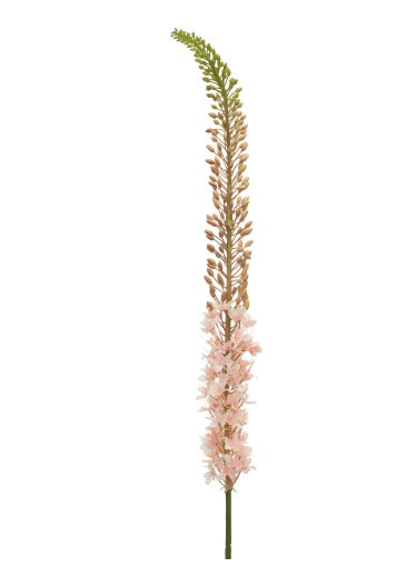 Artificial Silk Eremurus