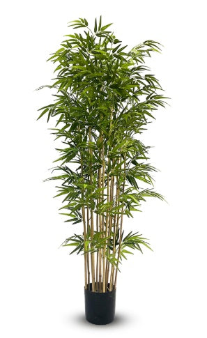 Artificial Silk Bamboo Nitida FR