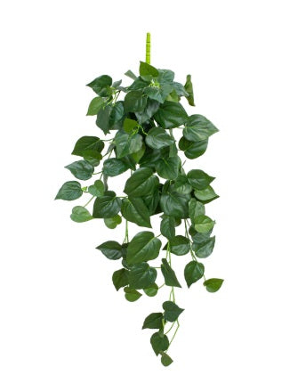 Artificial Silk Pothos Trail FR