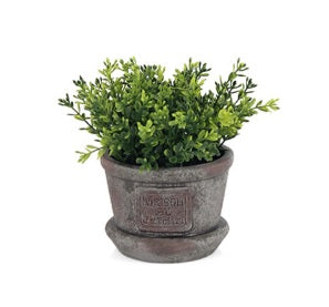 Artificial Small Cylinder Potted Greenery Complete