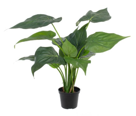 Artificial Silk Alocasia Cucullata Plant FR