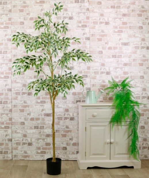Artificial Silk French Ficus Tree 170cm